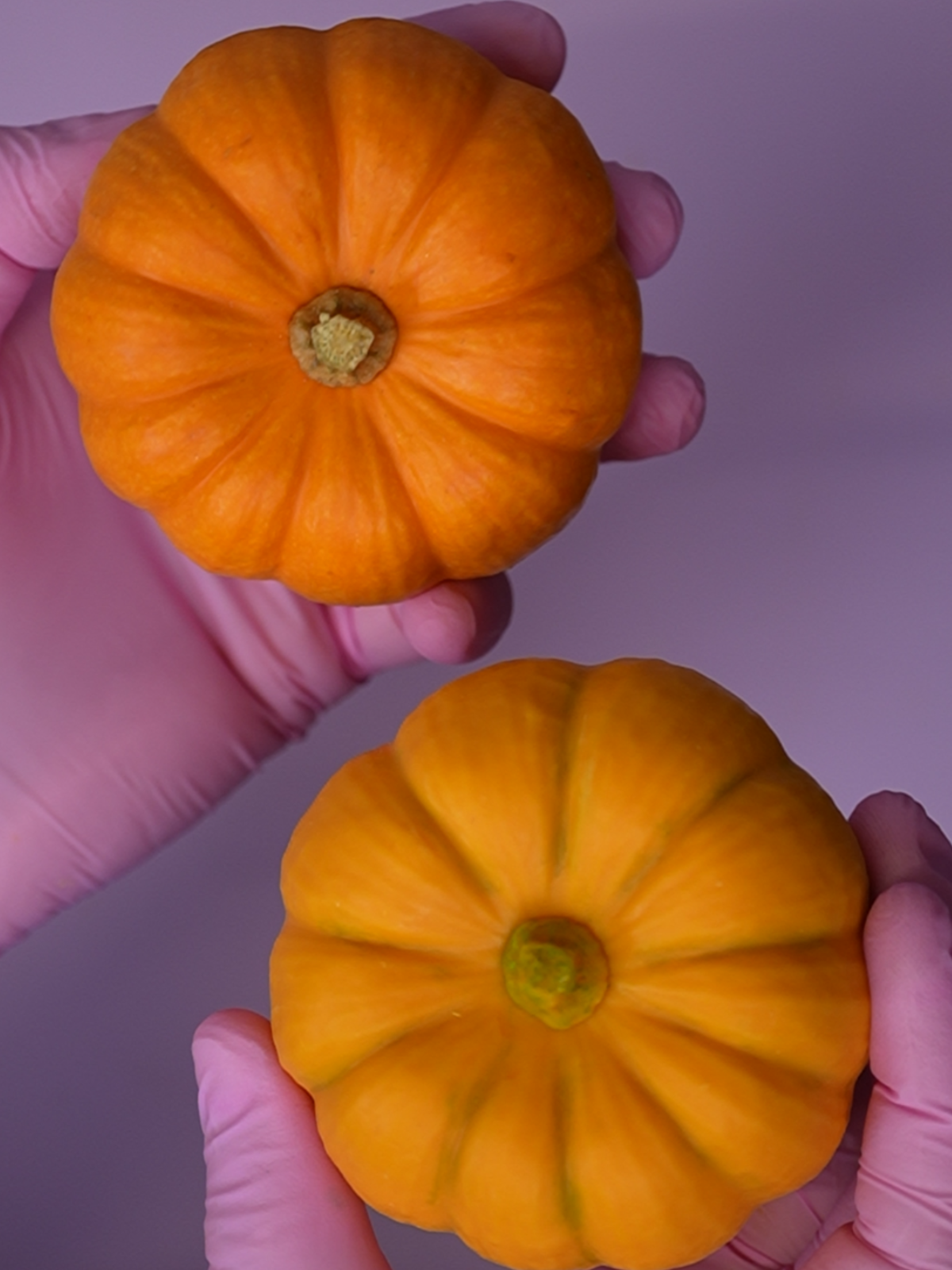 Step-by-Step Guide: Making a Silicone Mold and crafting a Perfect Pumpkin Pastry from Scratch